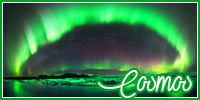 Cosmos Cosmos